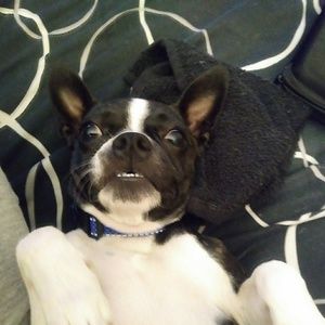 Meet your Posher, Tina